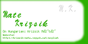 mate krizsik business card